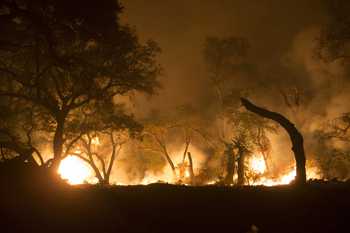 Mandatory Evacuations Lifted in Thomas Fire