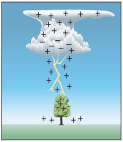 A map showing the Cloud to ground Lightning. (courtesy:  Ahrens)