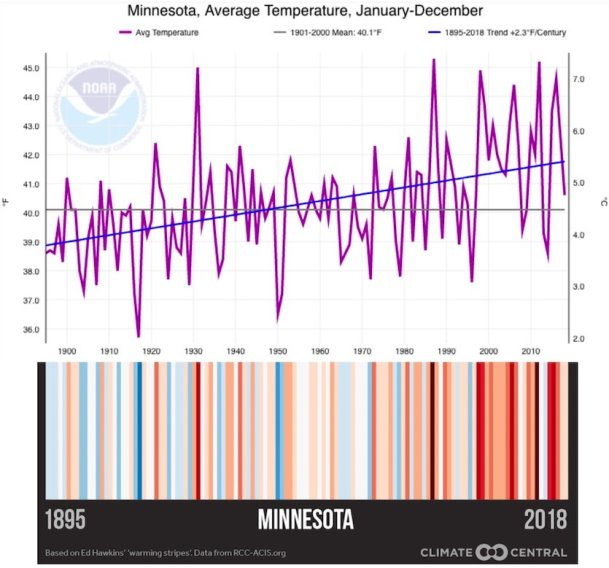 Figure 4: Warming stripes for Minnesota show the differing patterns of a century of warming, as detailed above (Courtesy: NOAA/NCEI).
